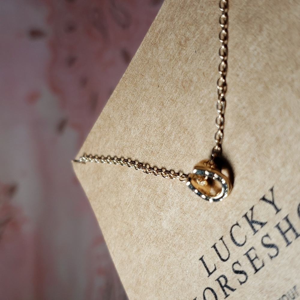 Lucky Horseshoe Necklace Horse Cowgirl Western Country Vaquera Dainty Minimalist - Picture 7 of 13